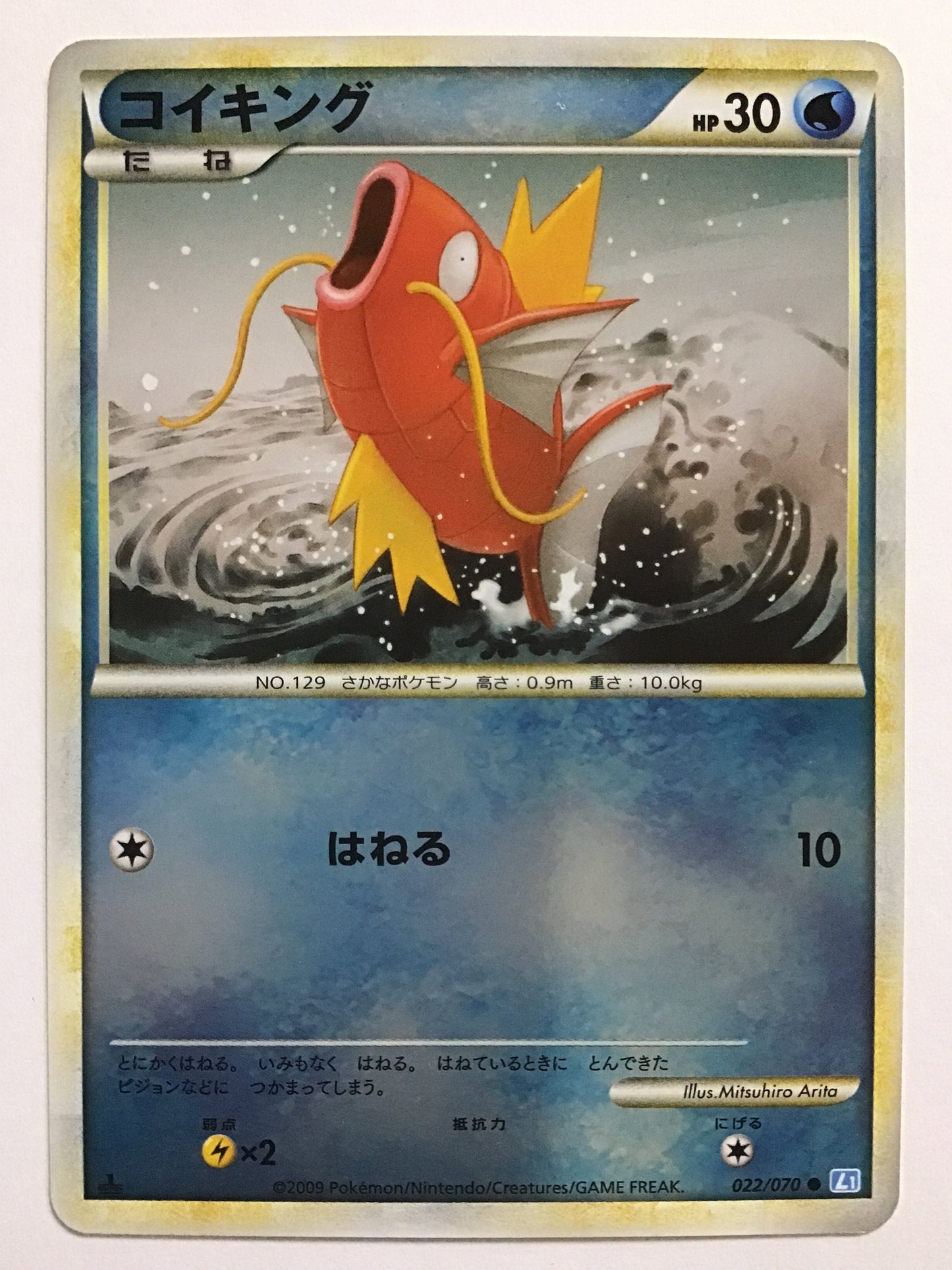 Magikarp/Magikarp/コイキング - L1 051/070/ ● (1ED)(Mirror)