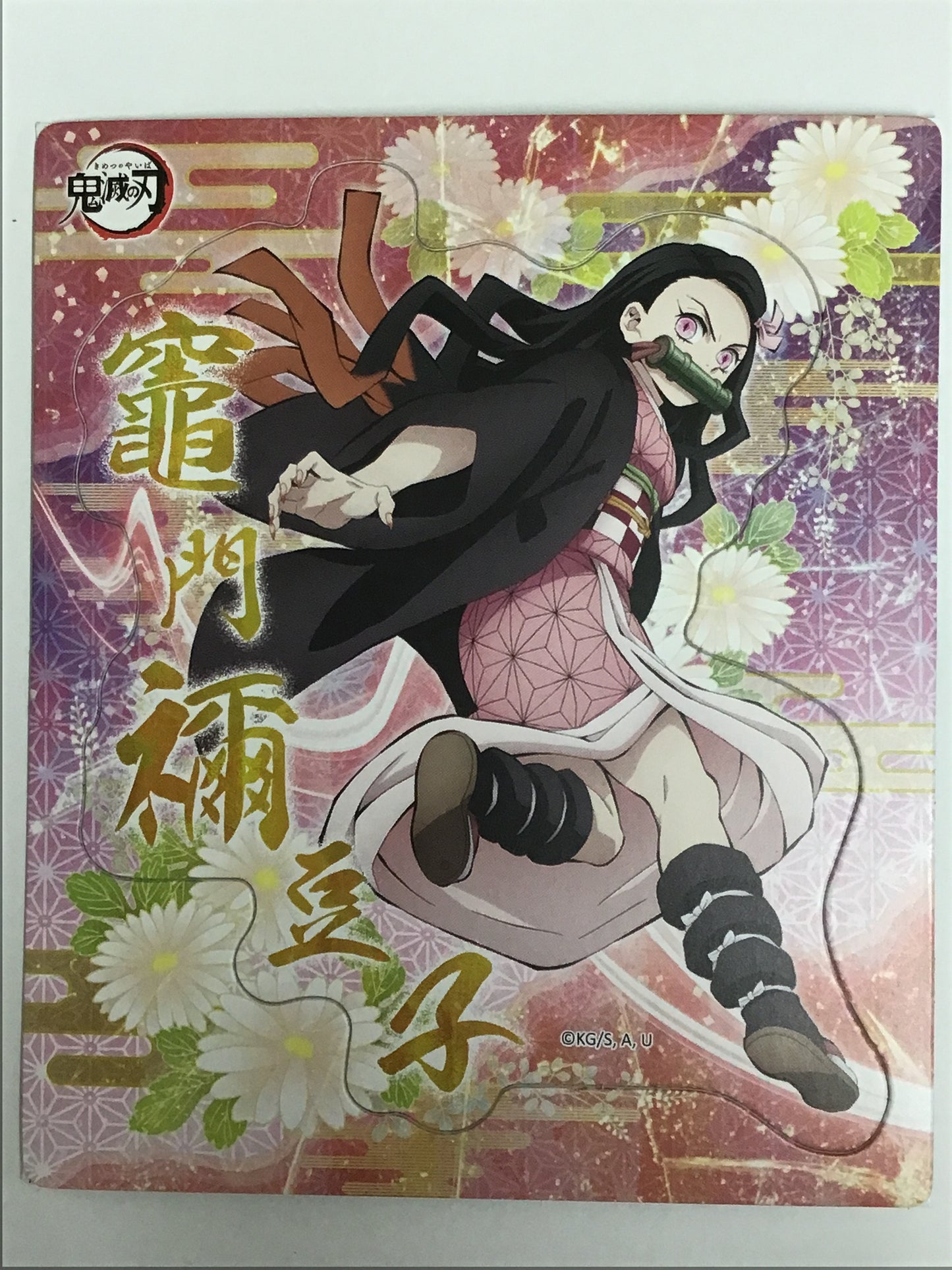 Demon Slayer: Kimetsu no Yaiba Magnet Collection Gum 2 - Nezuko Kamado