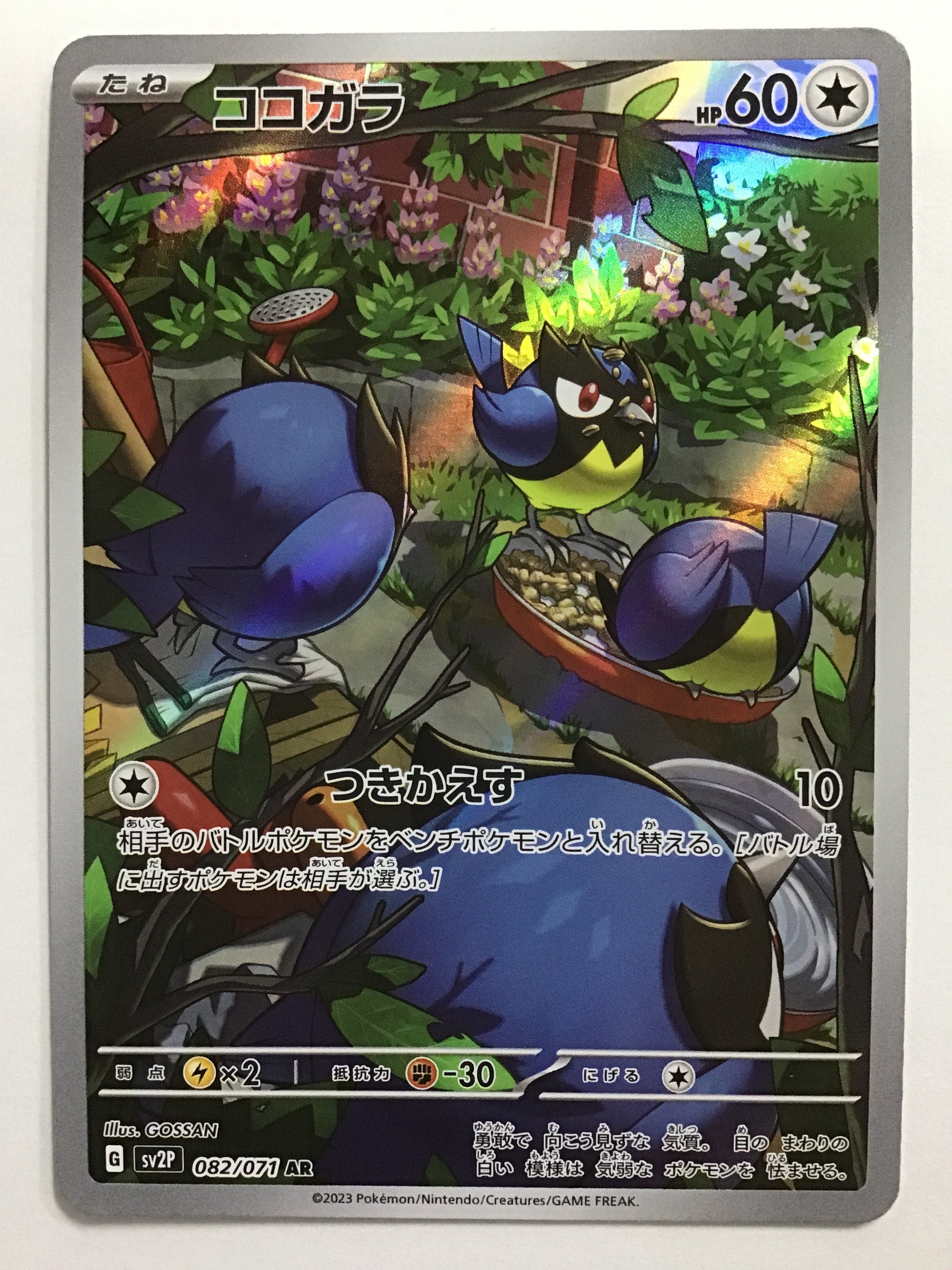 ポケモンカードゲーム [JP] ココガラ/SV2P 082/071/【なんやかん屋