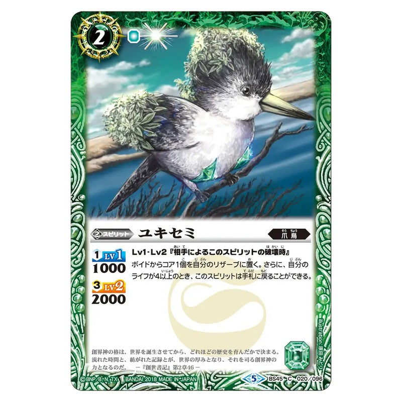 BS45-020