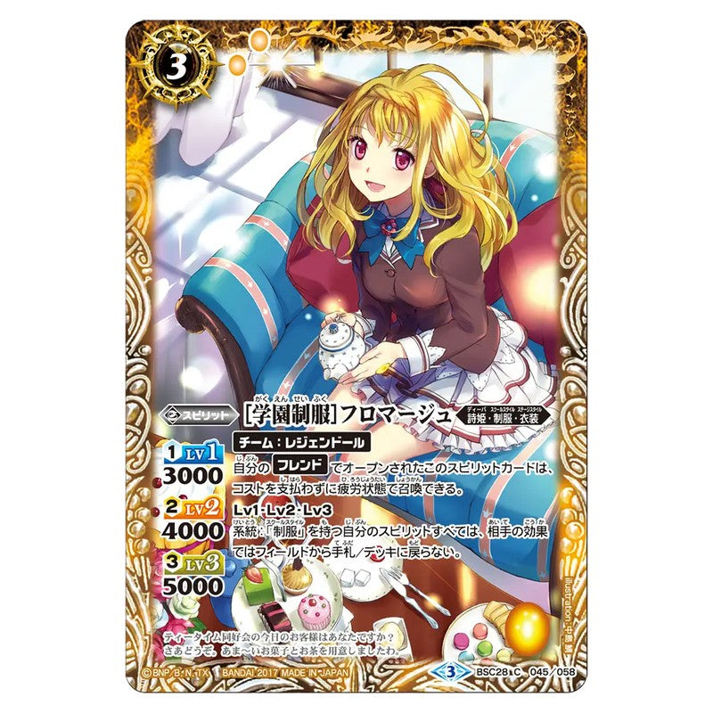 BSC28-045