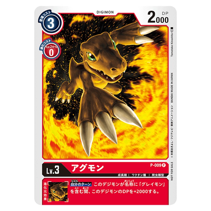 P-009