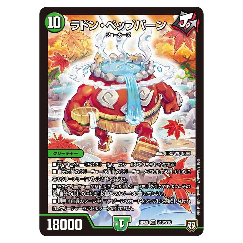 dmrp08-s10
