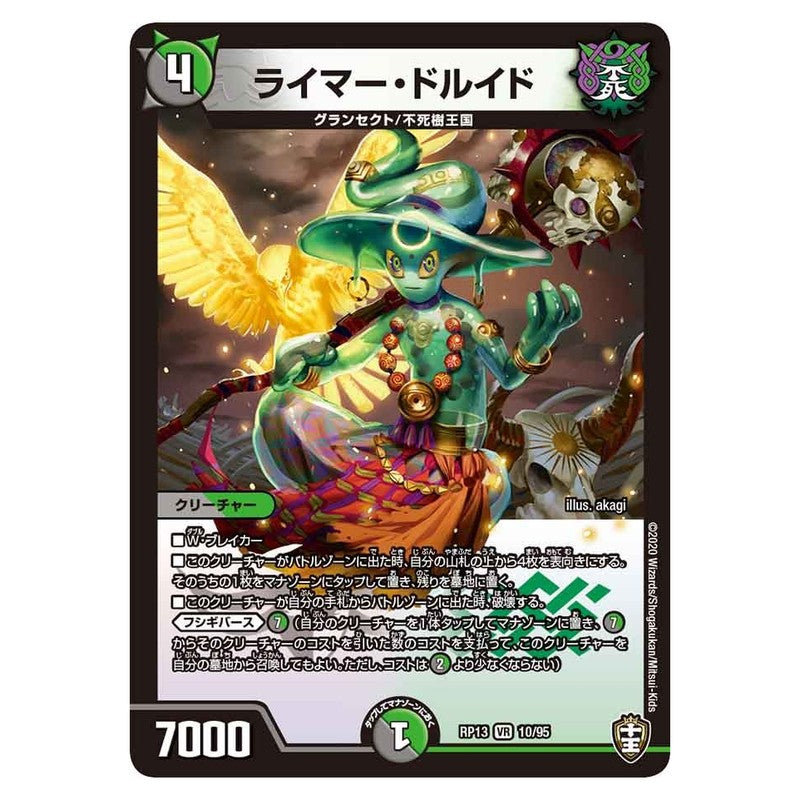 dmrp13-010
