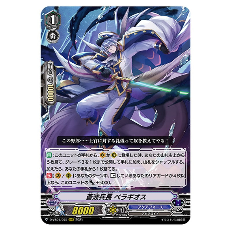 D-VS01/075