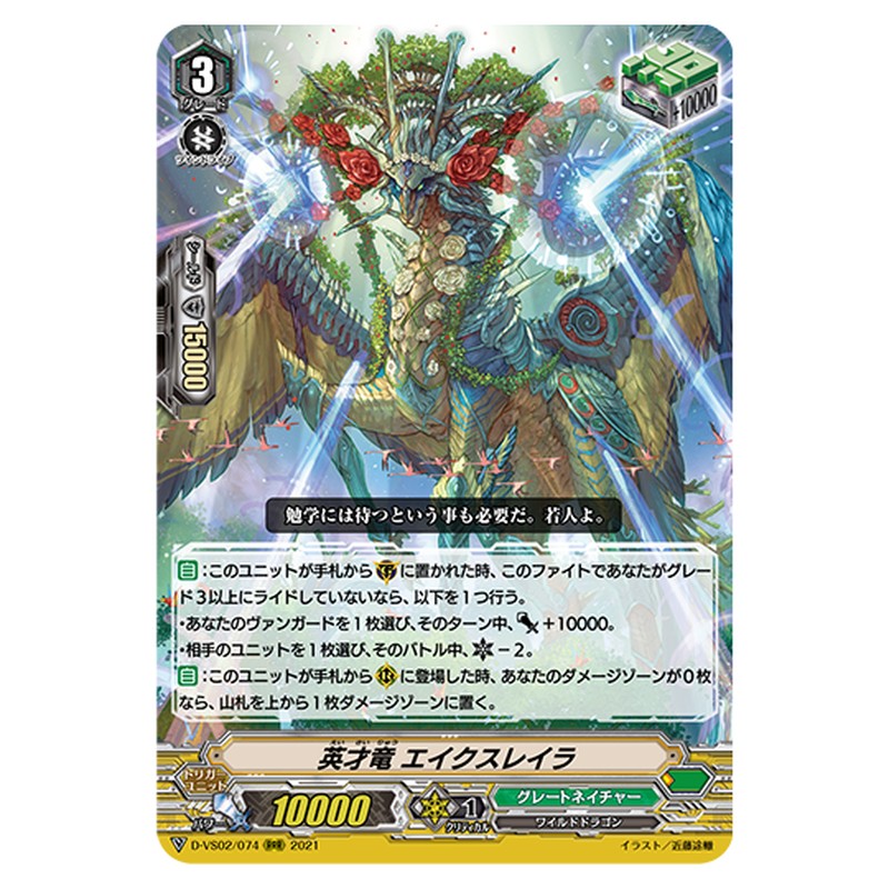 D-VS02/074