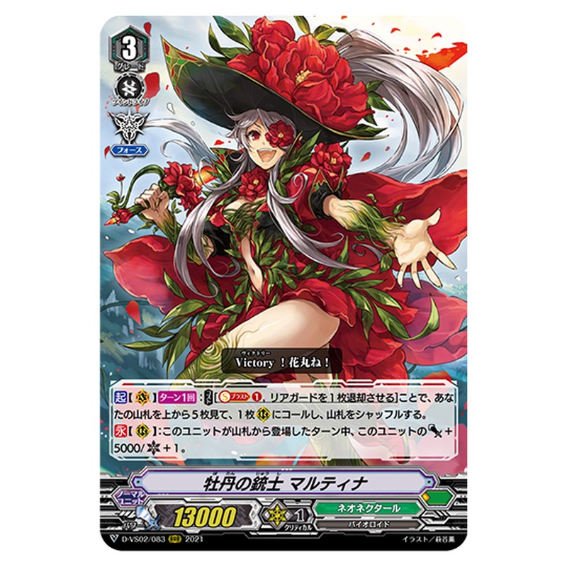 D-VS02/083