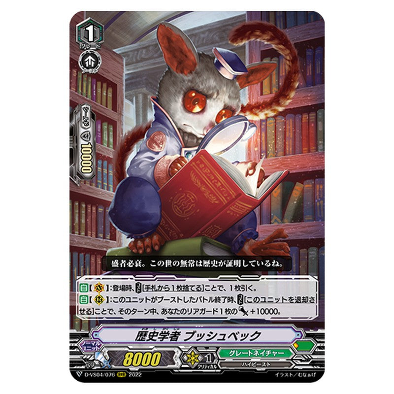 D-VS04/076