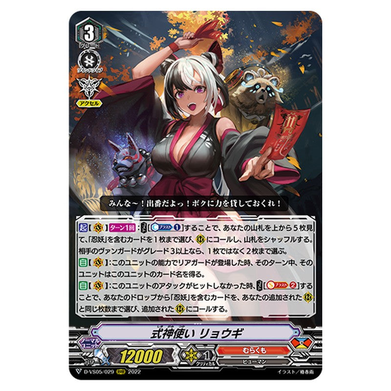 D-VS05/029
