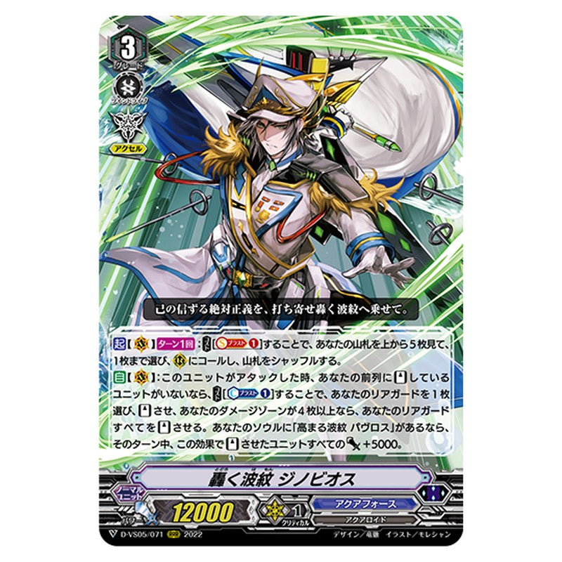 D-VS05/071