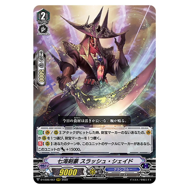 D-VS06/067