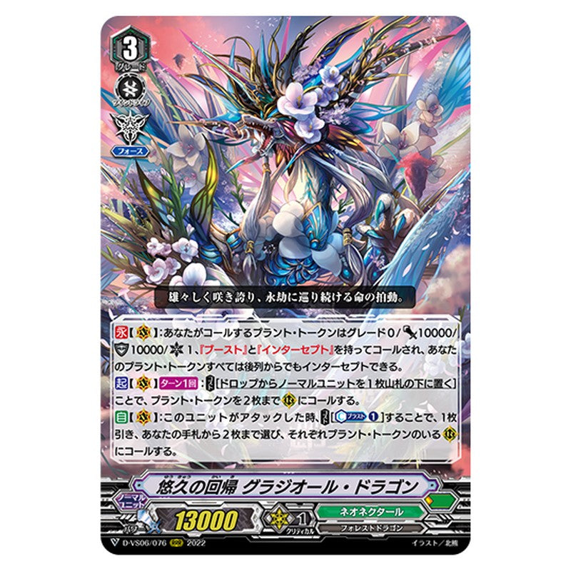 D-VS06/076