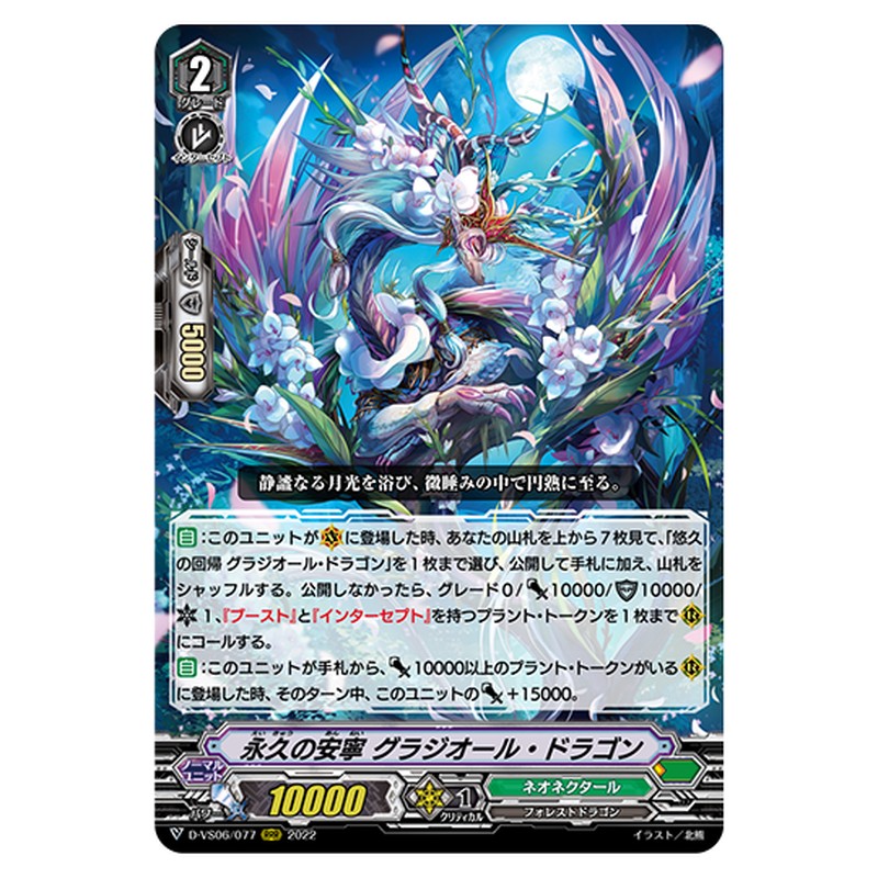 D-VS06/077