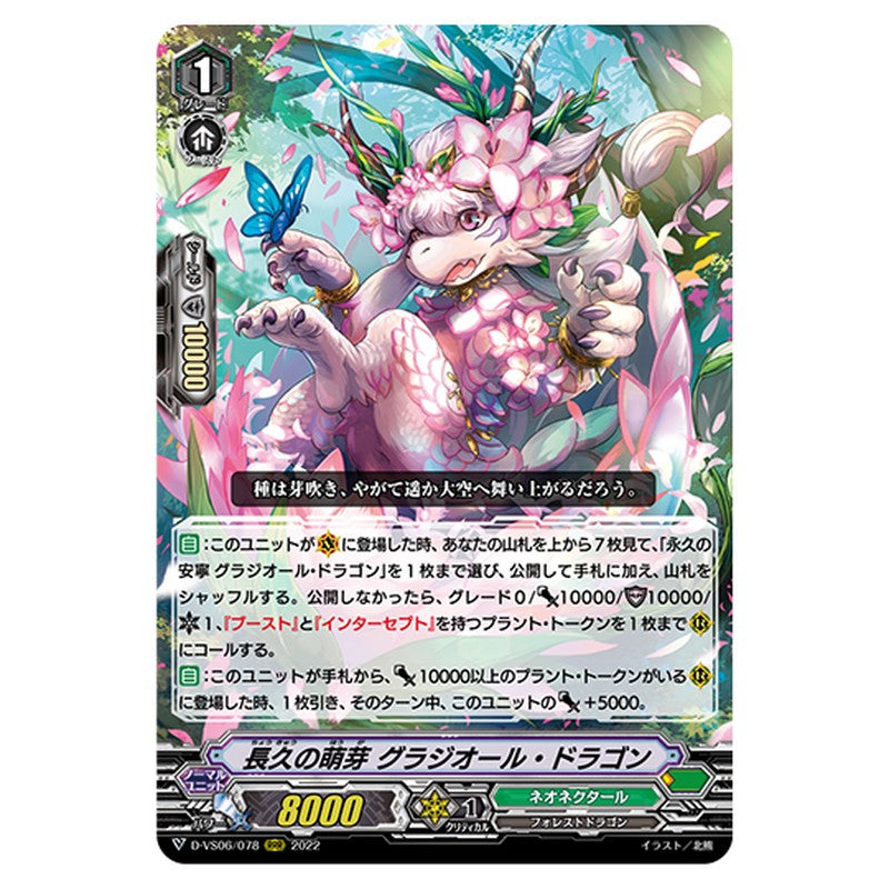 D-VS06/078