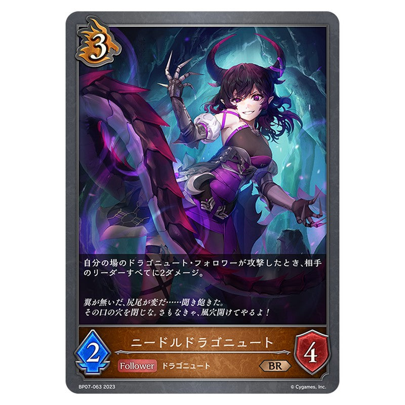 ニードルドラゴニュート