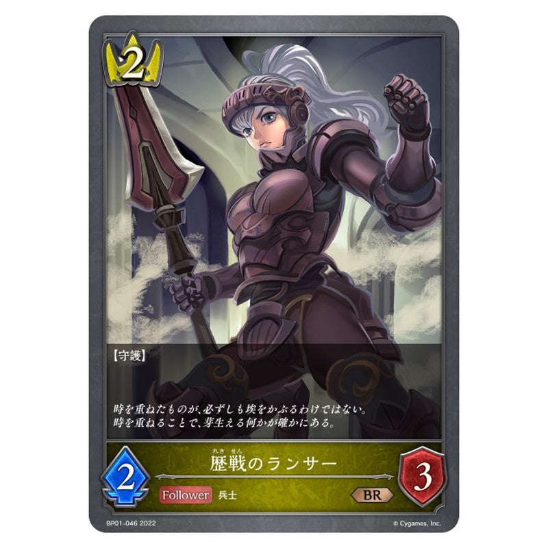歴戦のランサー