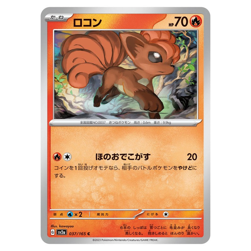 ロコン