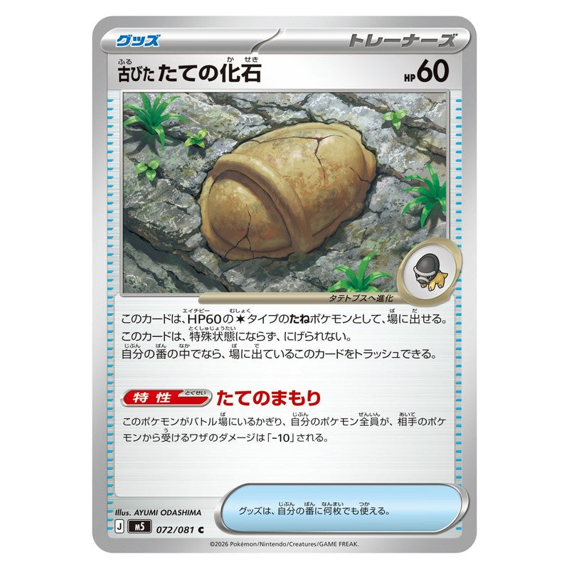 古びたたての化石