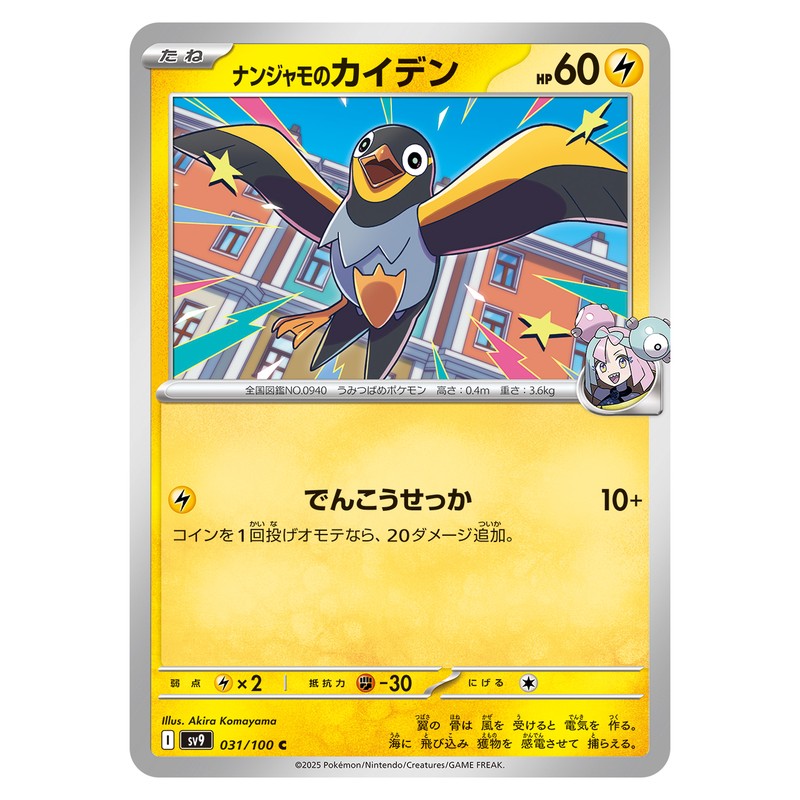 ナンジャモのカイデン