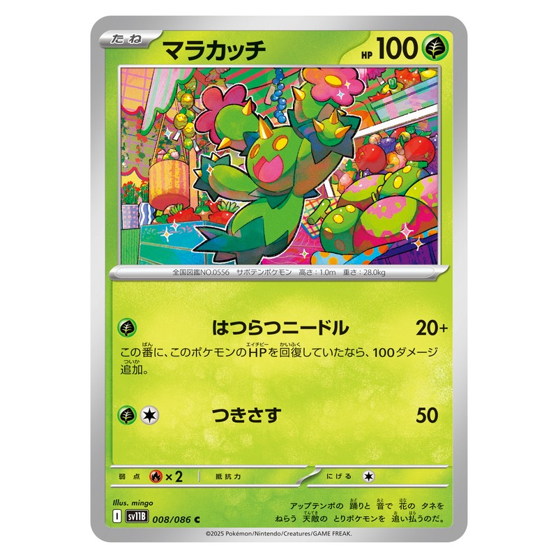 マラカッチ