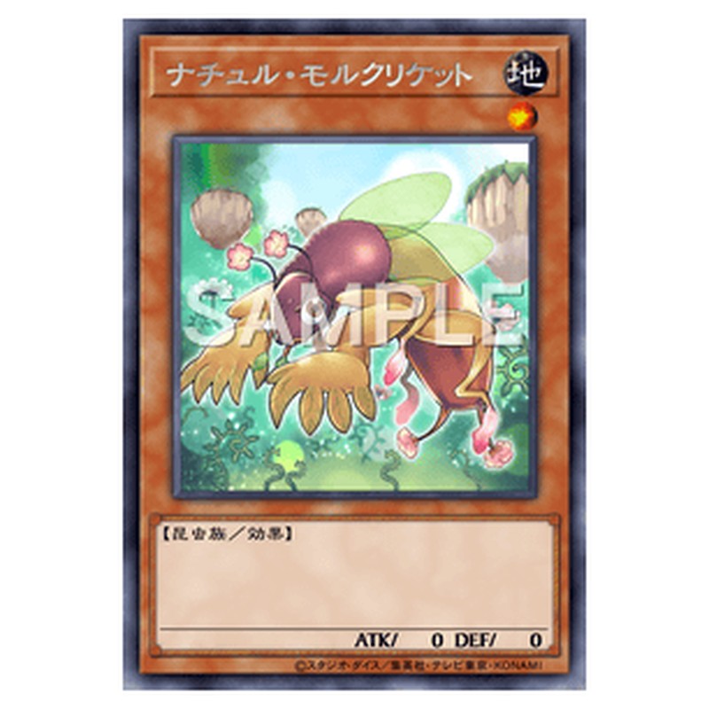 DABL-JP020|ナチュル・モルクリケット|レア仕様|db.yugioh-card.com