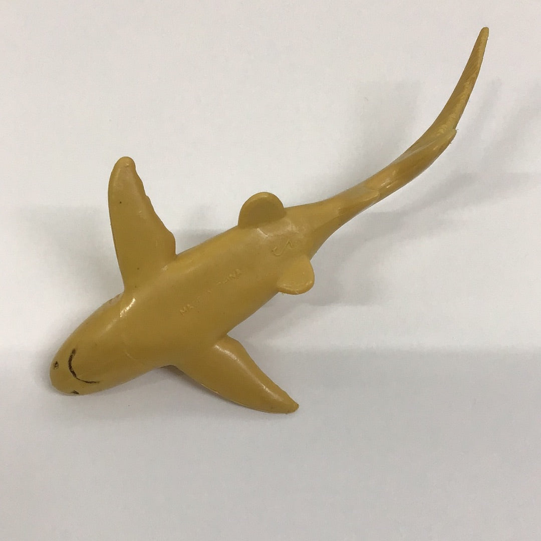 shark