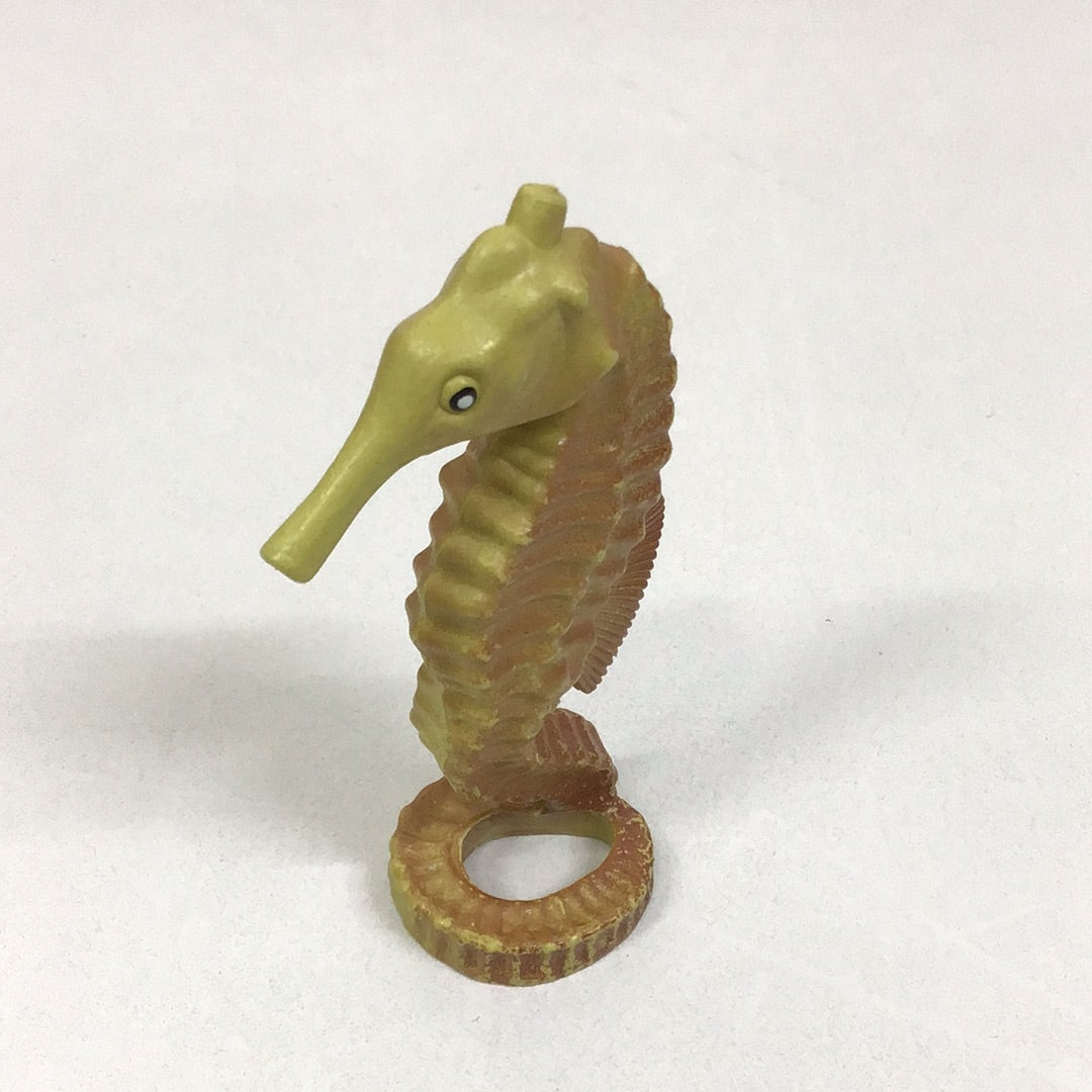 seahorse