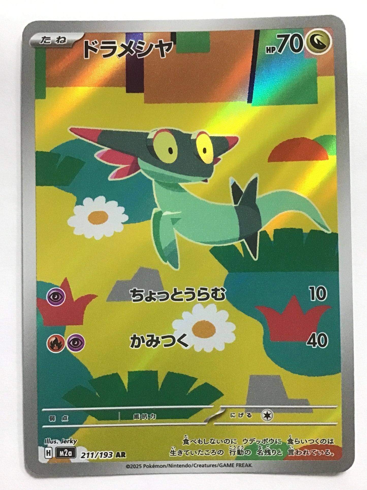 [JP] ドラメシヤ/ドラメシヤ/ﾄﾞﾗﾒｼﾔ - M2a 211/193/AR