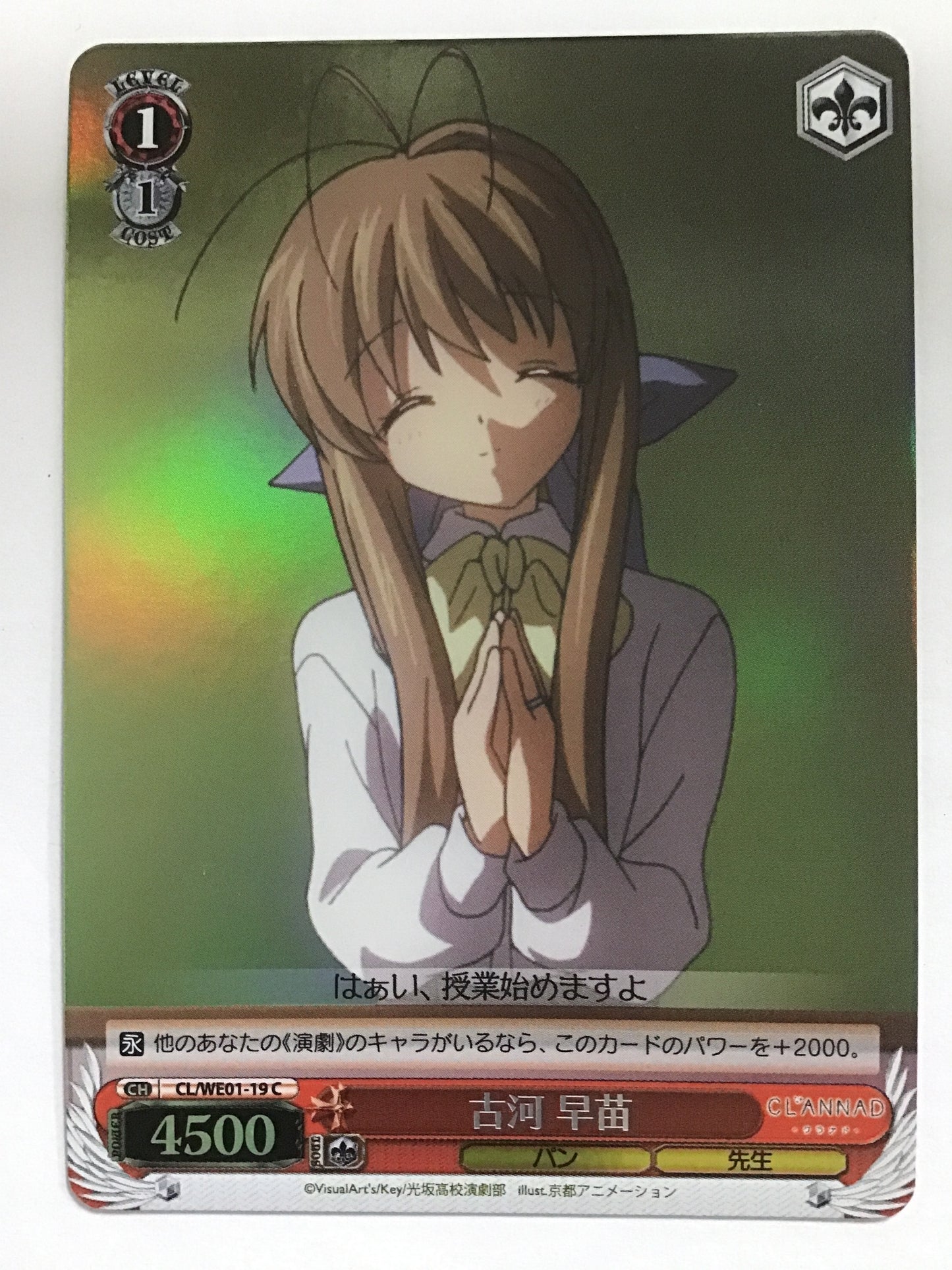 [EN] Sanae Furukawa/FURUKAWASANAE/FURUKAWASANAE - CL/WE01-19/(HOLO)