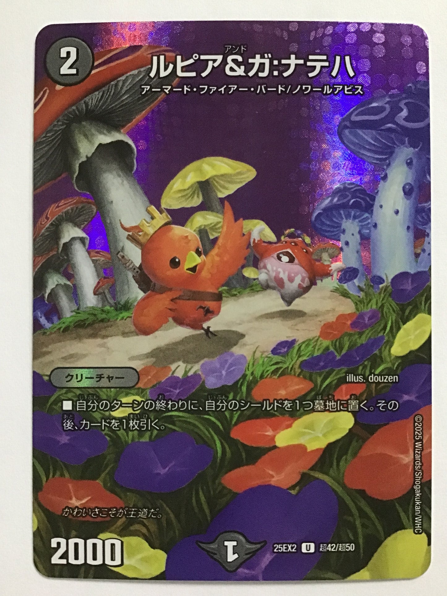 [JP] ルピア＆ガ:ナテハ/ルピアアンドガナテハ/ﾙﾋﾟｱｱﾝﾄﾞｶﾞﾅﾃﾊ - 25EX2 超42/超50/U