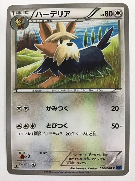 [JP] ハーデリア/ハーデリア/ﾊｰﾃﾞﾘｱ - XY1 050/060 青/C