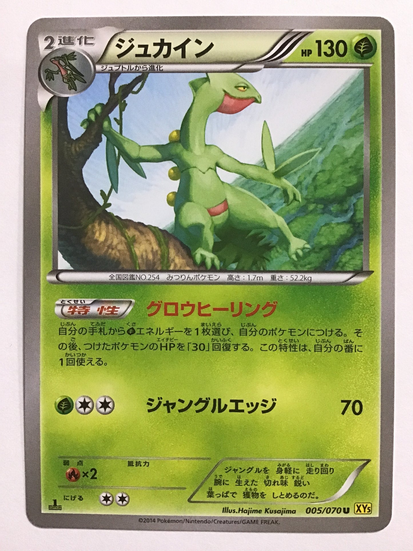 [JP] ジュカイン/ジュカイン/ｼﾞｭｶｲﾝ - XY5 005/070 黄/U (1ED)