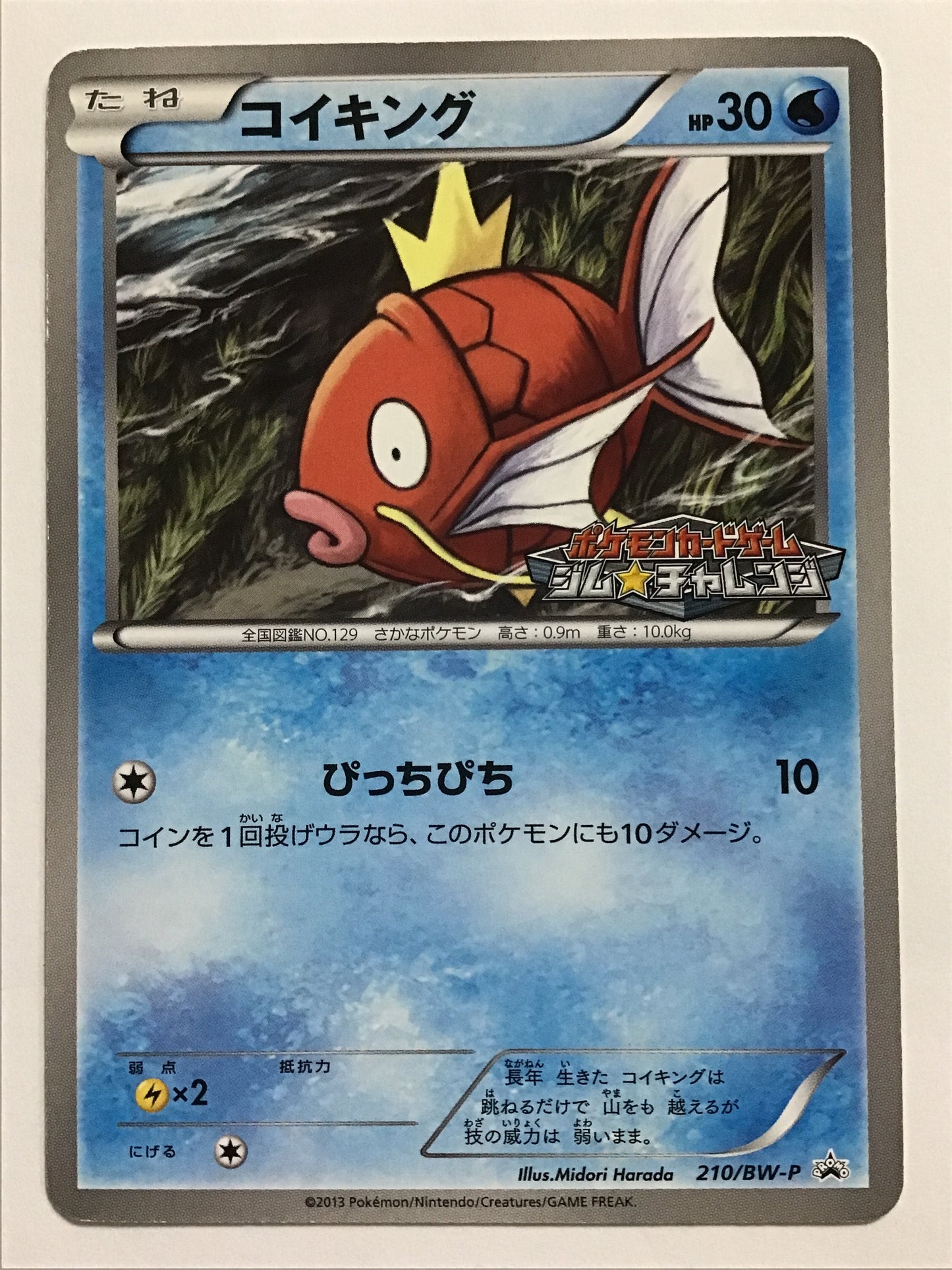 [JP] コイキング/コイキング/ｺｲｷﾝｸﾞ - 210/BW-P/PROMO