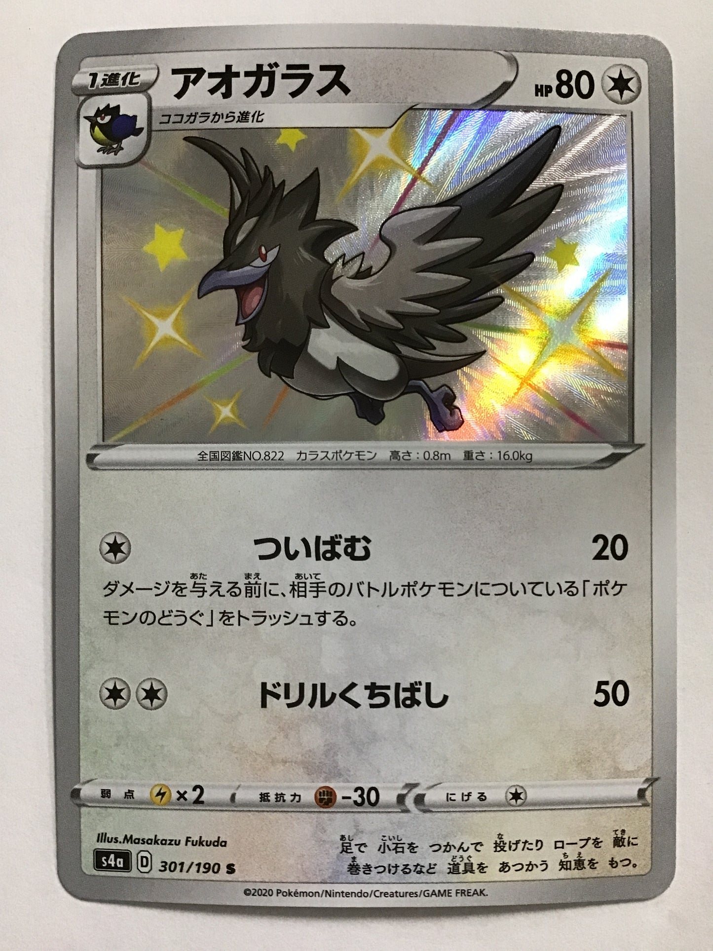 [JP] アオガラス/アオガラス/ｱｵｶﾞﾗｽ - s4a 301/190 /S