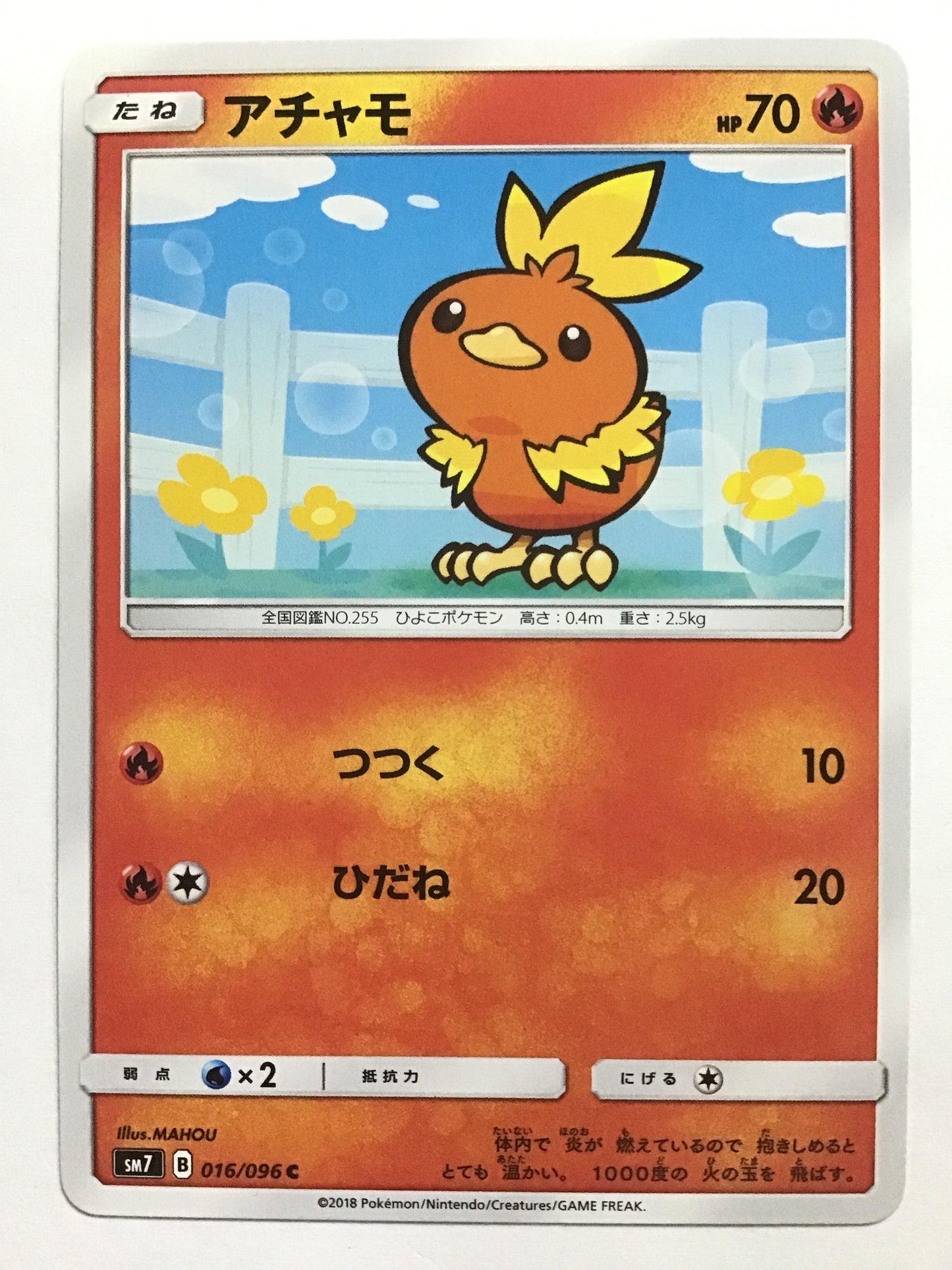[EN] Torchic/Torchic/TORCHIC - SM7 016/096 /C/(ILLUS:MAHOU)