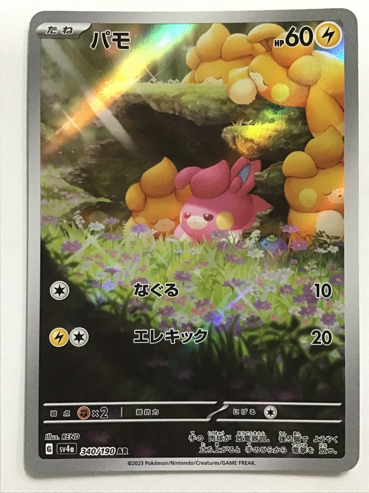 [EN] Pawmi/Pawmi/Pawmi - SV4a 340/190/AR
