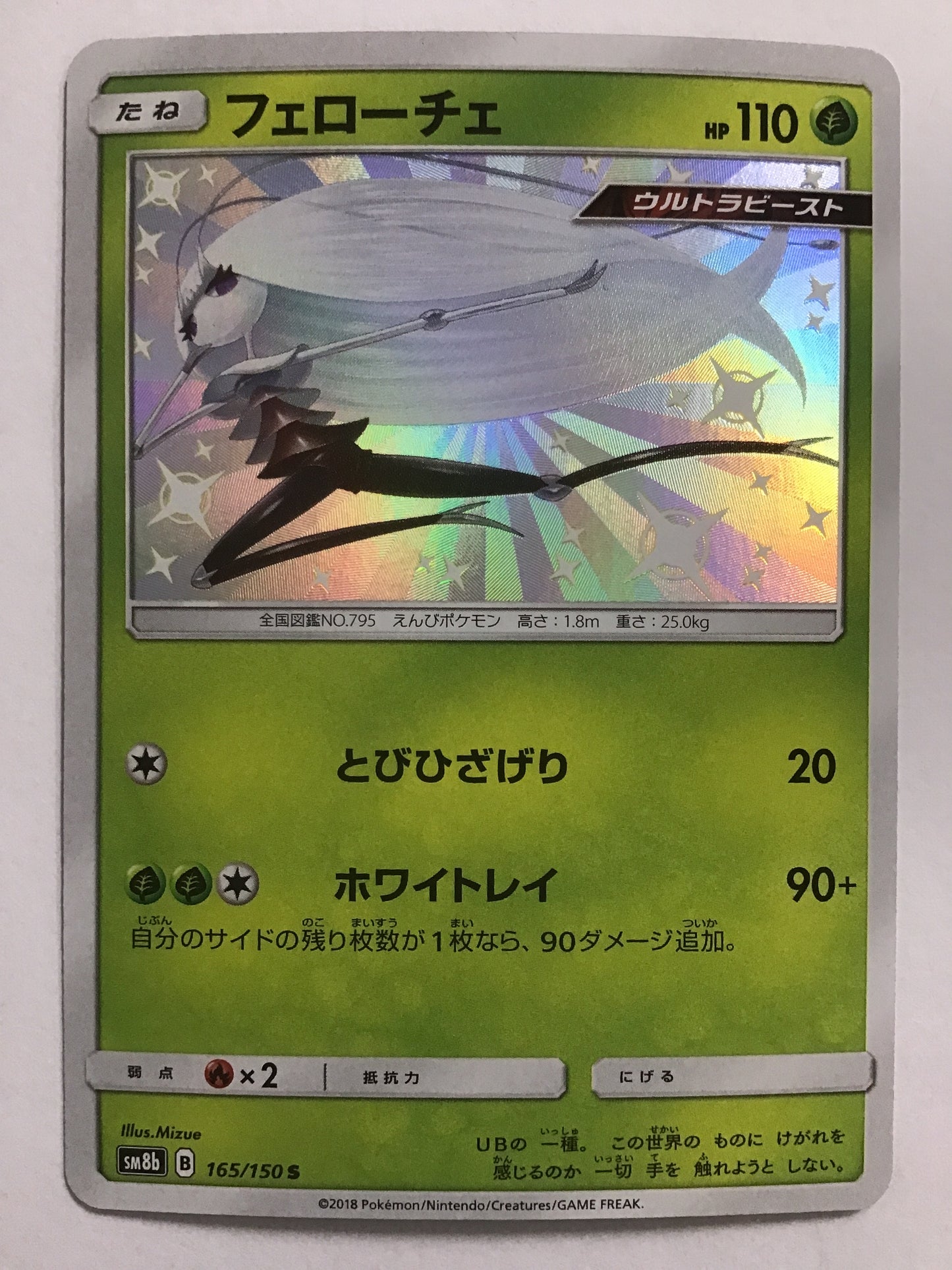 [JP] Ferroche/Ferroche/Ferroche - SM8b 165/150 /S