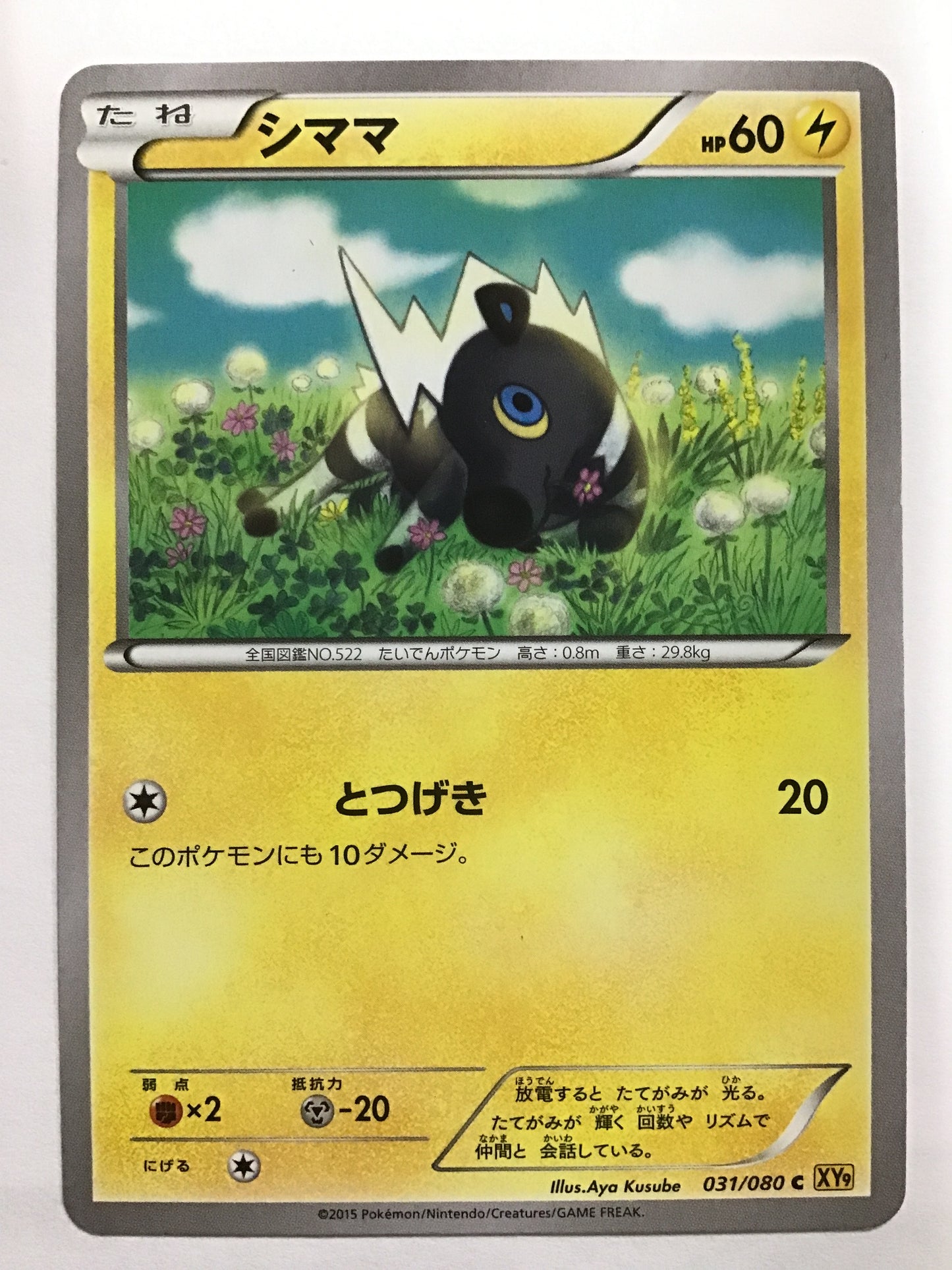 [JP] Shimama/Shima/Shima - XY9 031/080 /C