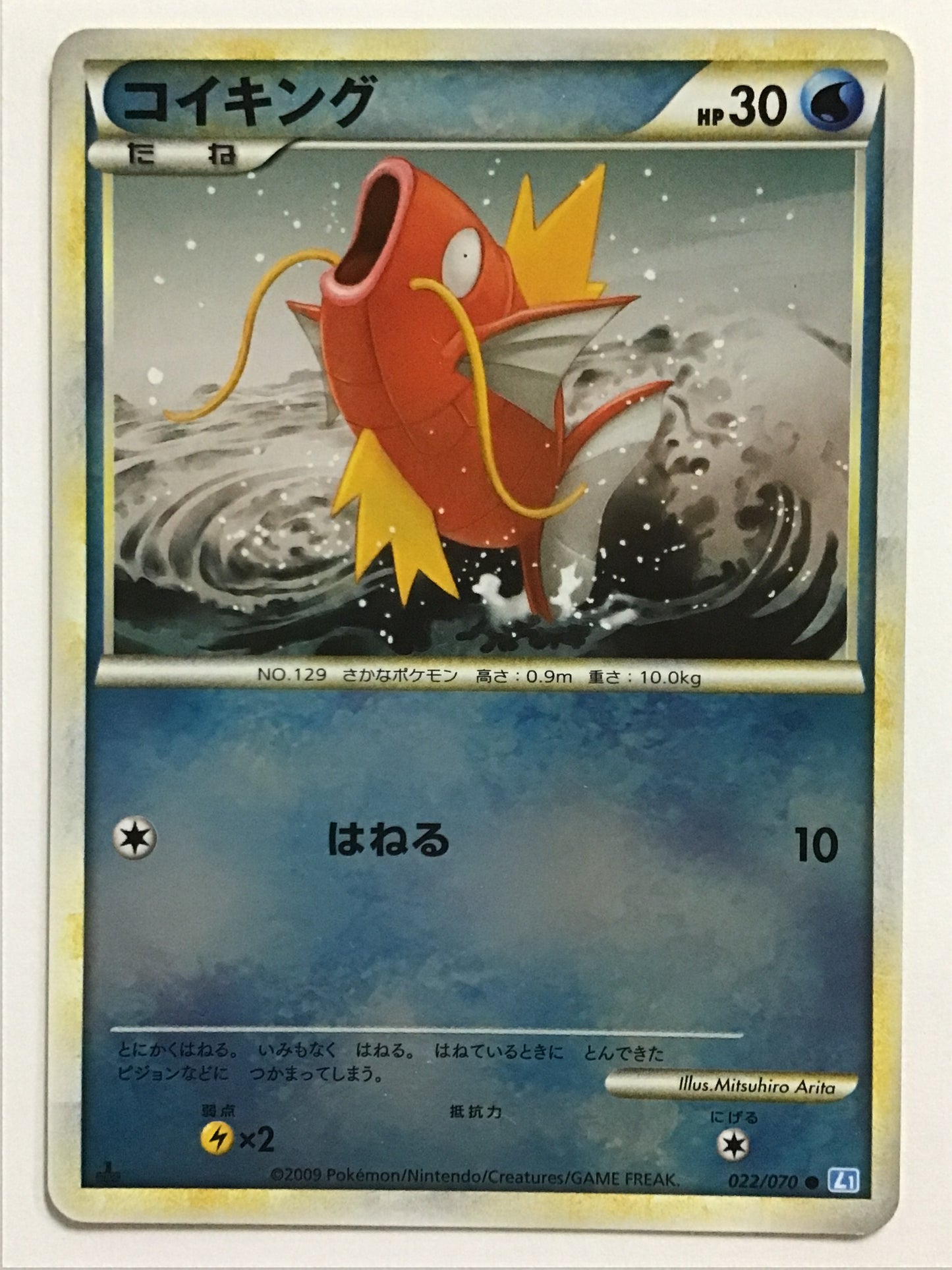 [EN] Magikarp/Magikarp/MAGIKARP - L1 022/070 / ● (1ED)(MIRROR)