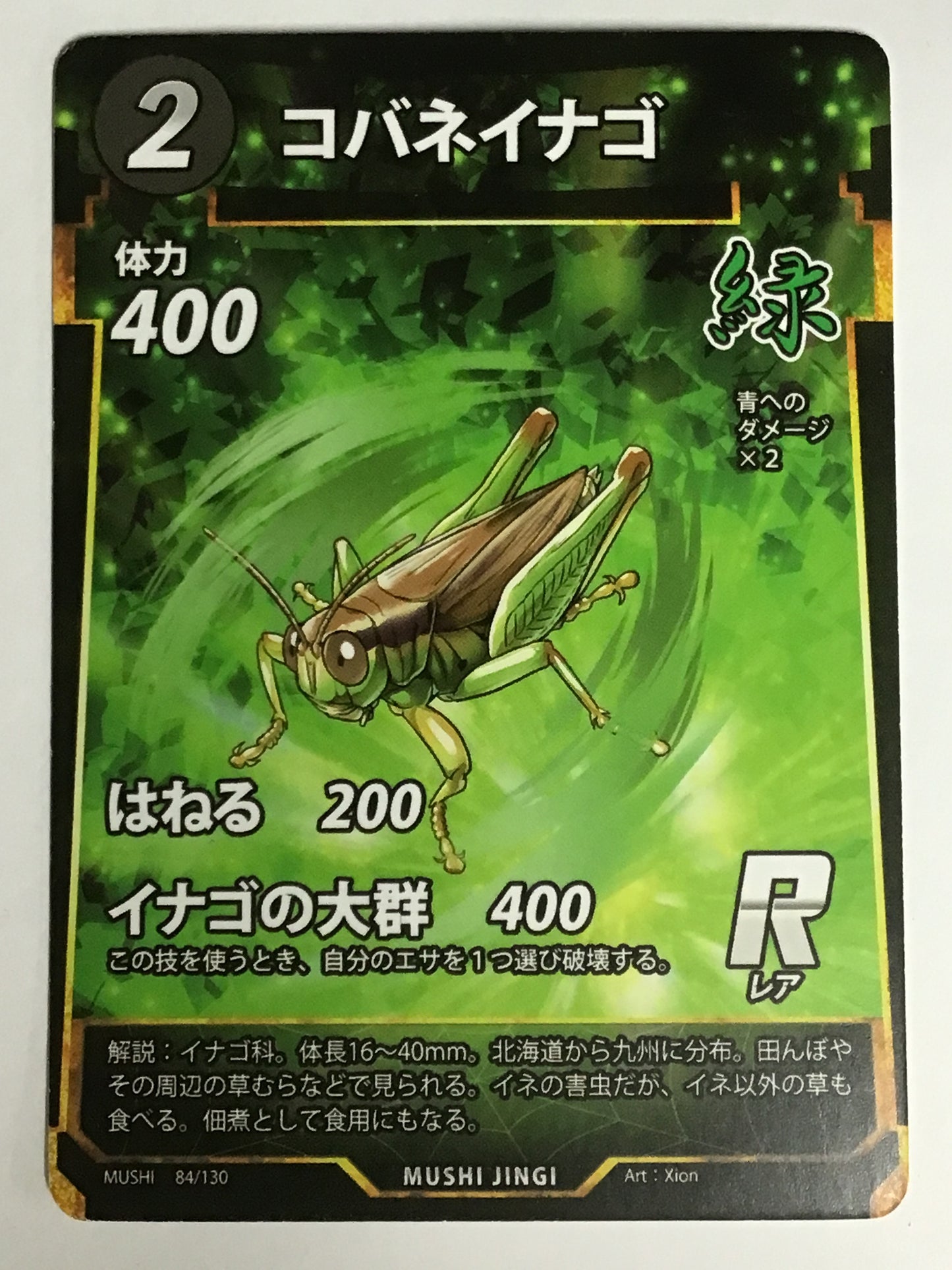 [JP]コバネイナゴ/コバネイナゴ/ｺﾊﾞﾈｲﾅｺﾞ/  - 84/130/R