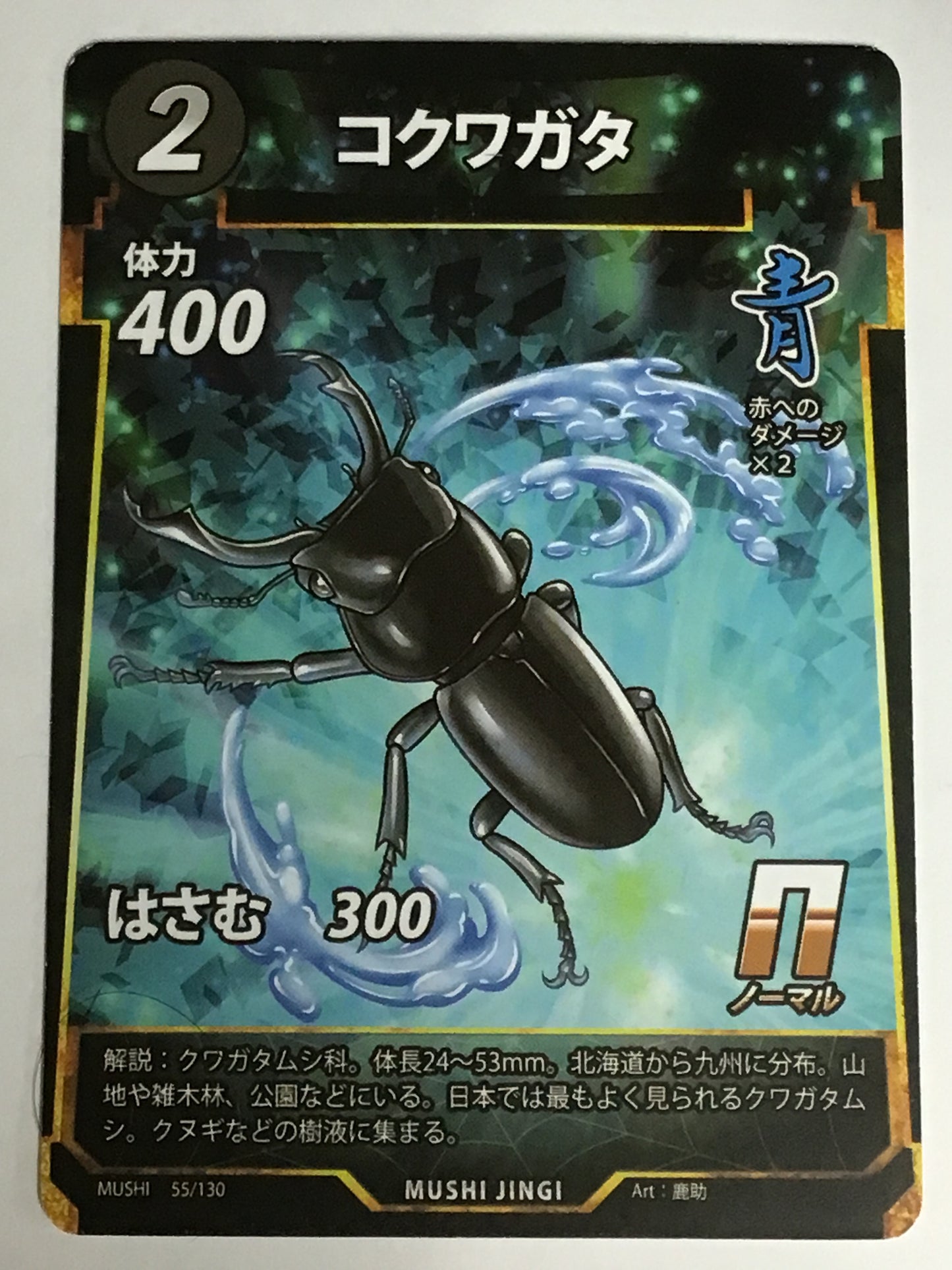 [JP]コクワガタ/コクワガタ/ｺｸﾜｶﾞﾀ/  - 55/130/N