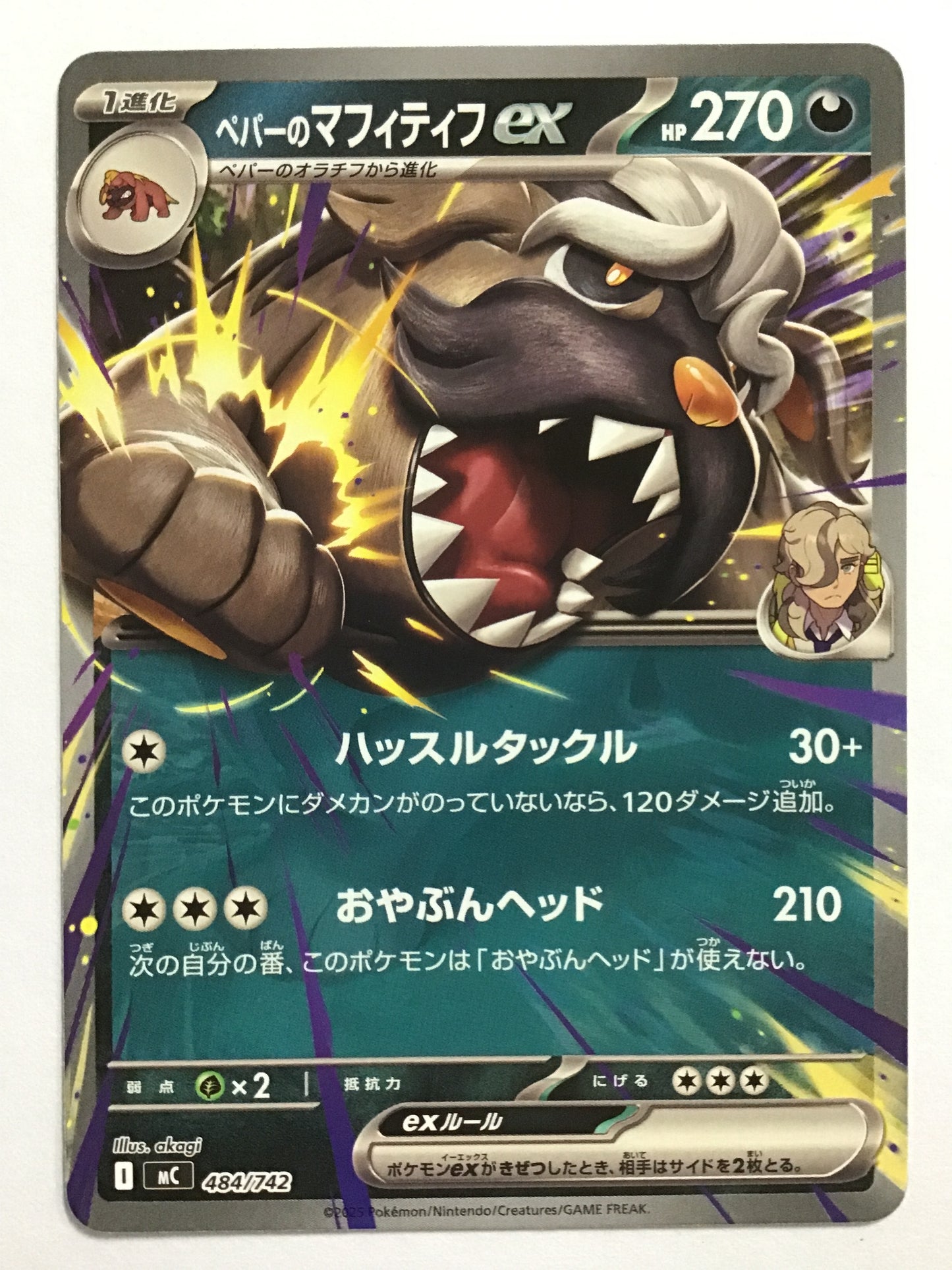 [EN] Pepper's Mabosstiff ex - MC 484/742/- (Normal)