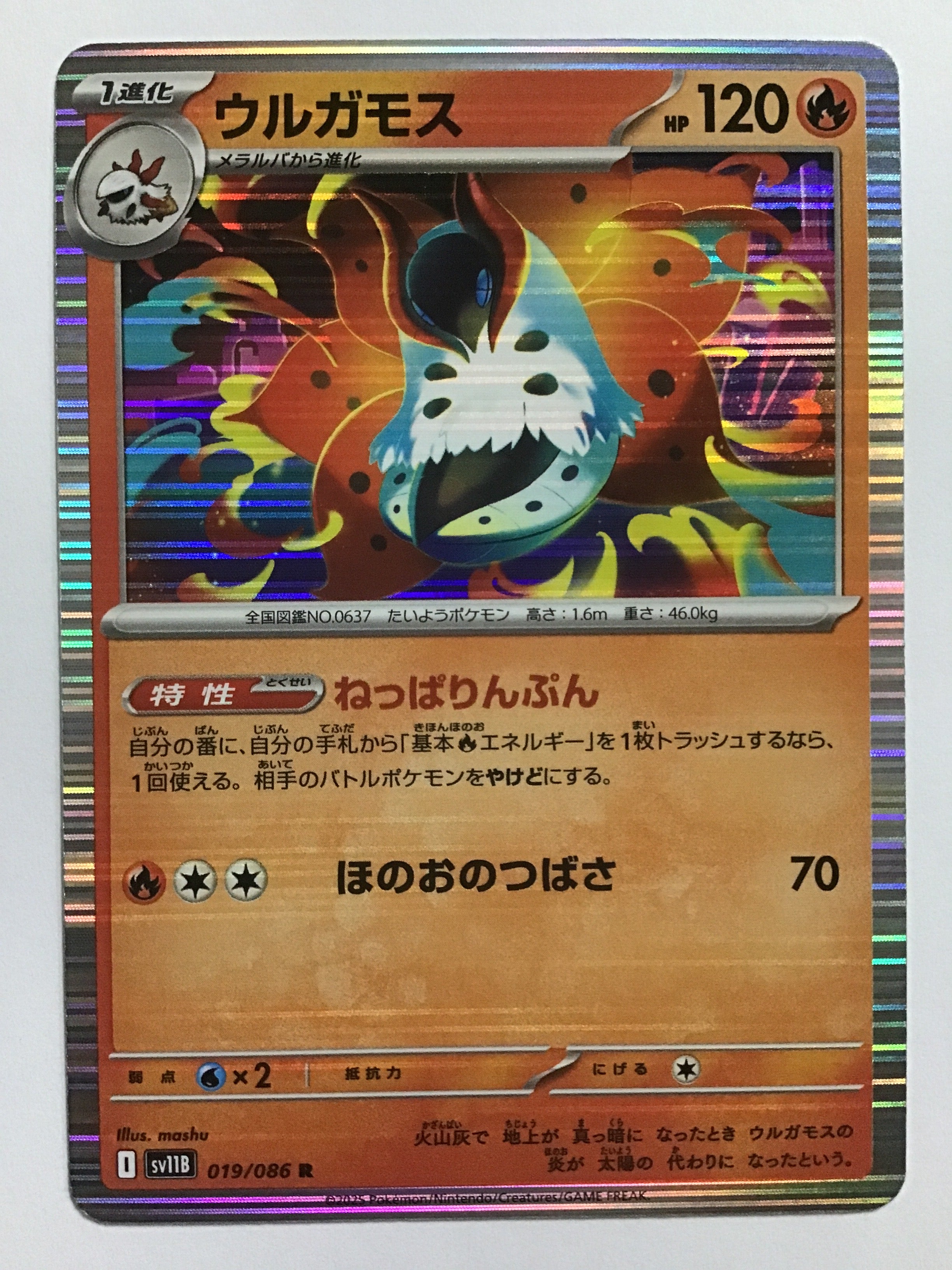 ポケモンカードゲーム [JP] ウルガモス/SV11B 019/086/【なんやかん屋