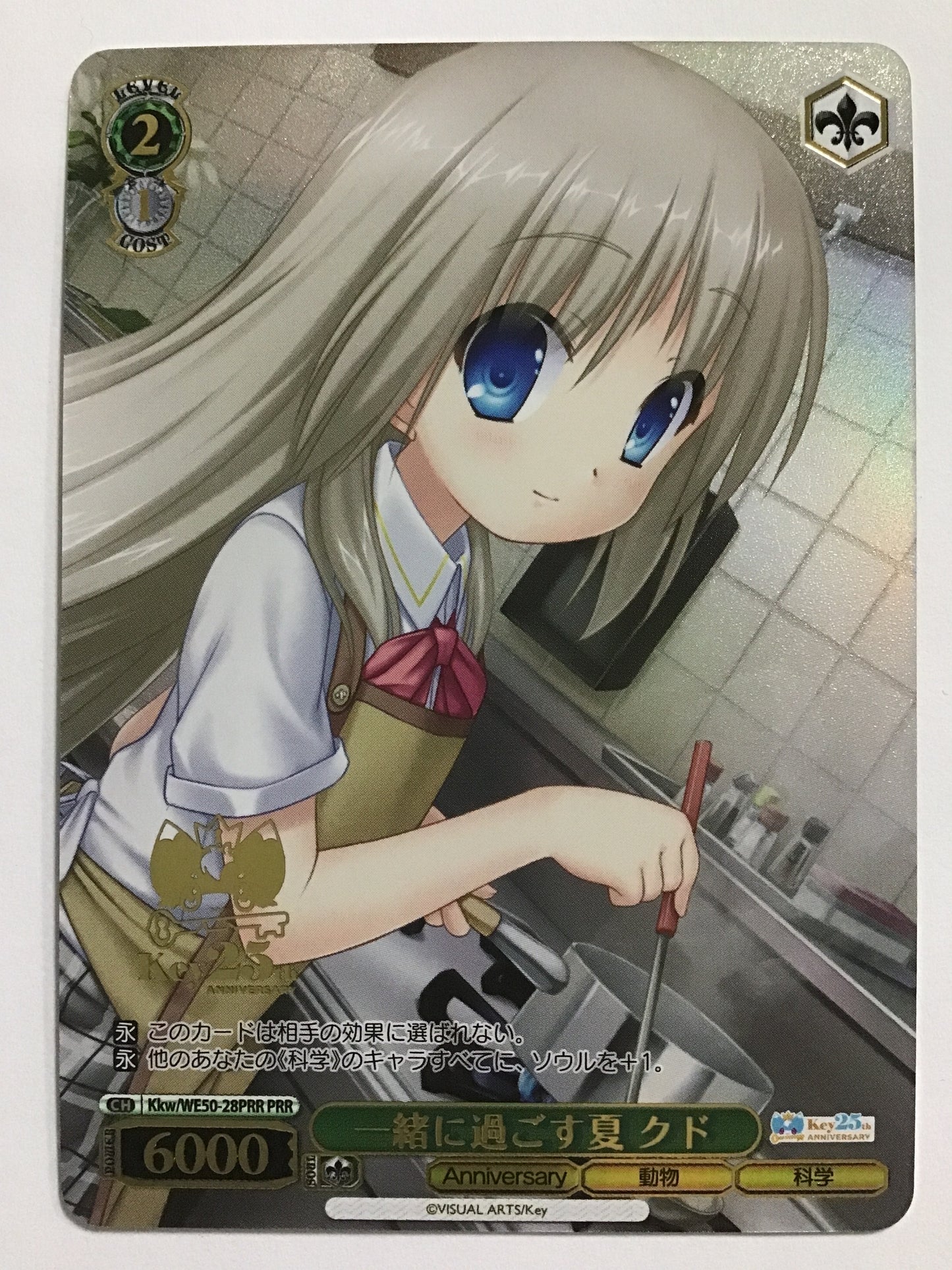 [JP] 一緒に過ごす夏 クド/イッショニスゴスナツクド/ｲｯｼｮﾆｽｺﾞｽﾅﾂｸﾄﾞ - Kkw/WE50-28PRR/PRR