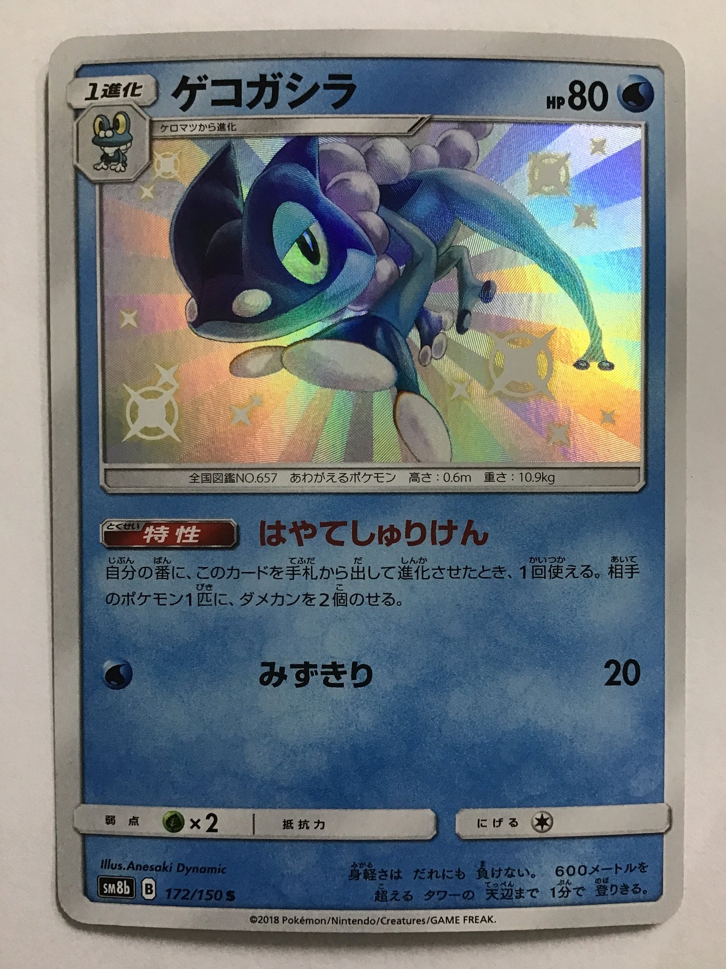 [JP] Gekogashira/Gekogashira/Gekogashira - SM8b 172/150 /S