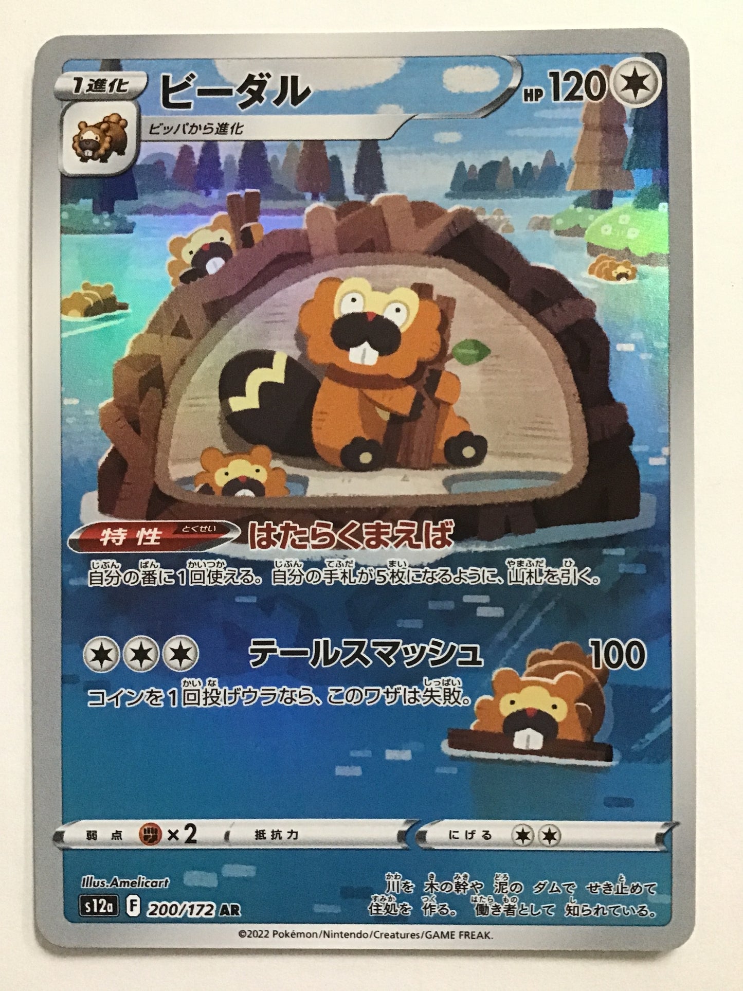 [JP] ビーダル/ビーダル/ﾋﾞｰﾀﾞﾙ - S12a 200/172/AR