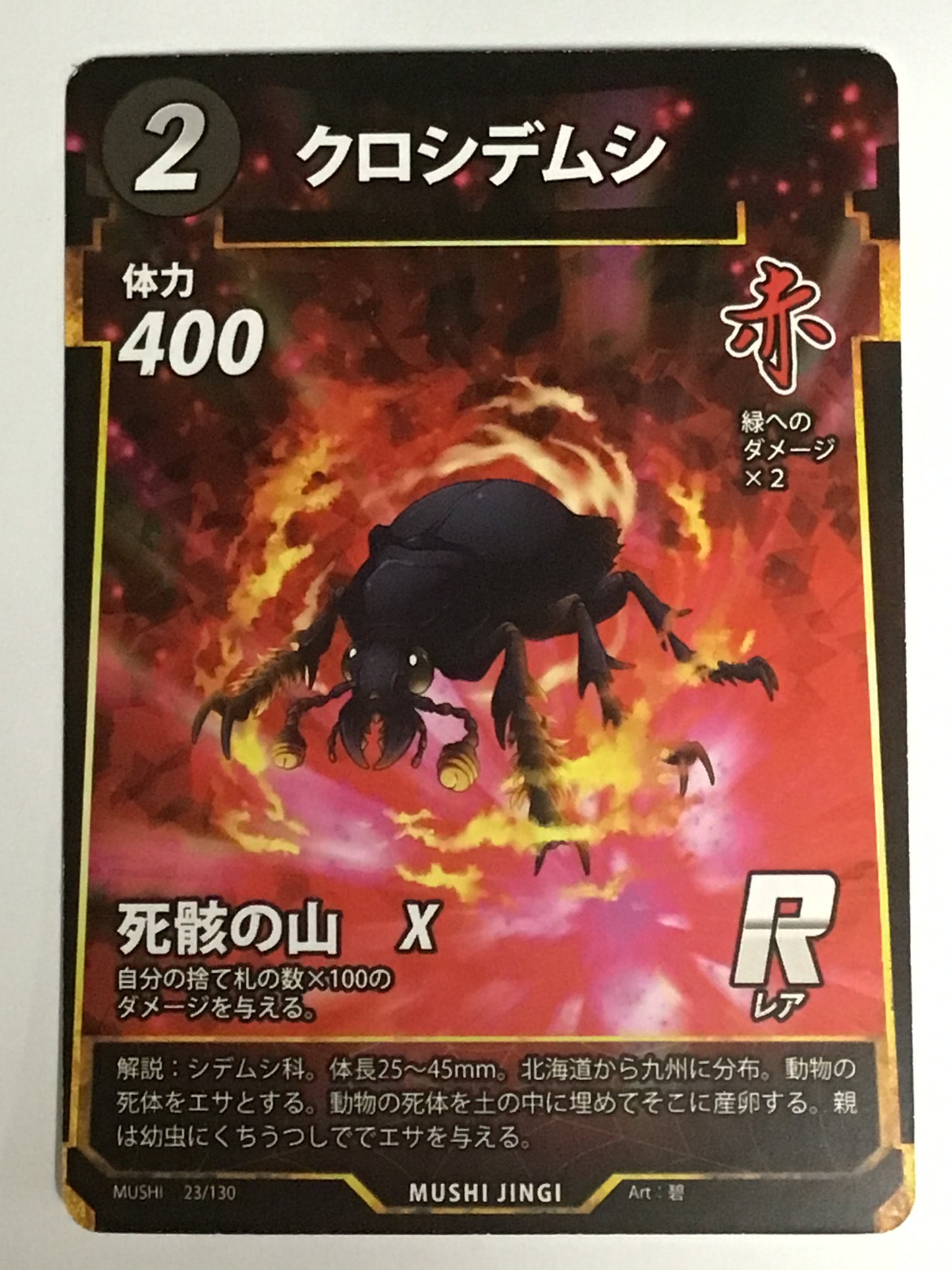 [JP]クロシデムシ/クロシデムシ/ｸﾛｼﾃﾞﾑｼ/  - 23/130/R