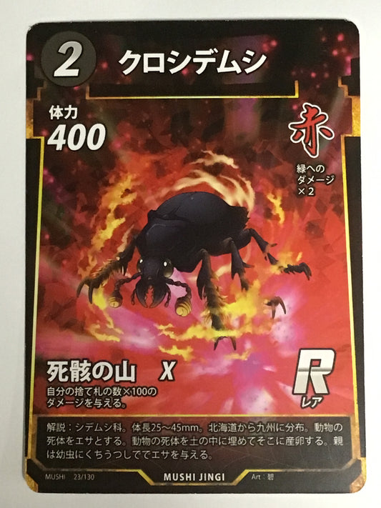 [JP]クロシデムシ/クロシデムシ/ｸﾛｼﾃﾞﾑｼ/  - 23/130/R