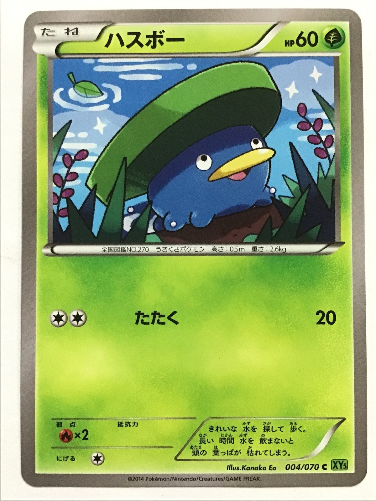 [EN] Lotad/Lotad/Lotad - XY5 004/070 Green/C/(Illustration: Kanako Eo)