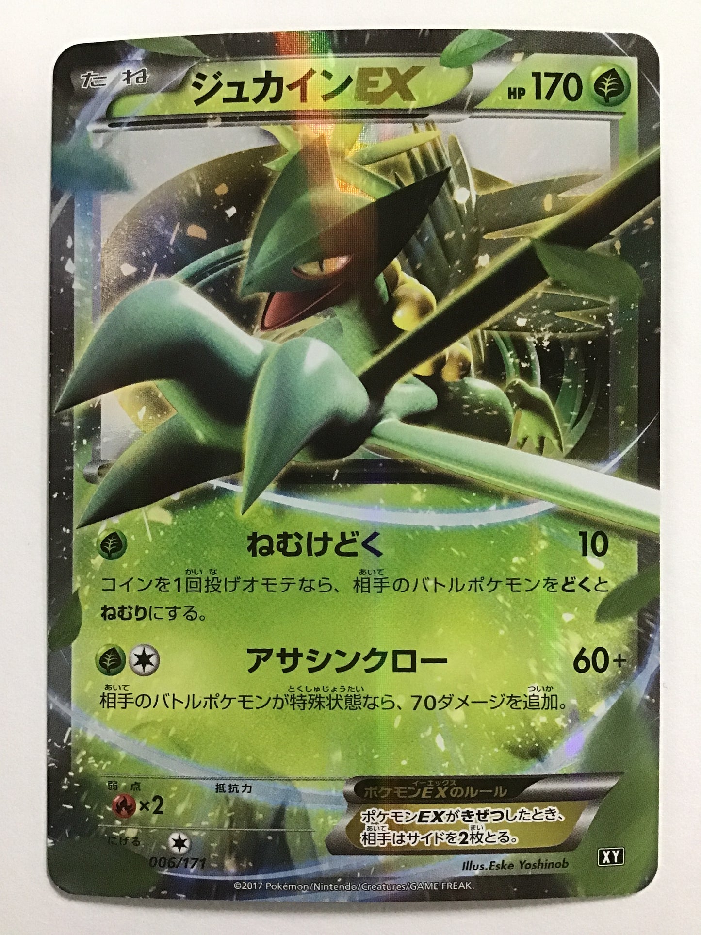 [JP] ジュカインEX/ジュカインイーエックス/ｼﾞｭｶｲﾝｲｰｴｯｸｽ - XY 006/171 /-